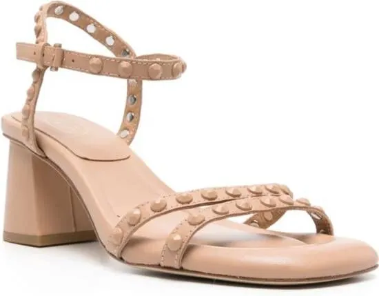 Neutrals Studded Sandals by Ash Jody Bis