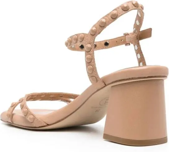 Neutrals Studded Sandals by Ash Jody Bis