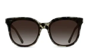 Polarized Lucy Shades